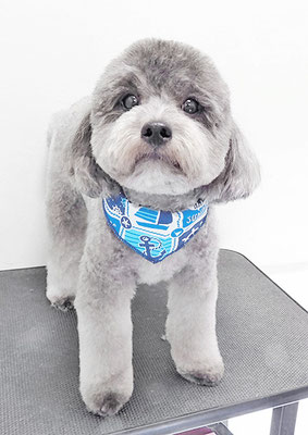 菅原そらちゃん