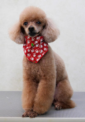 平松クーちゃん