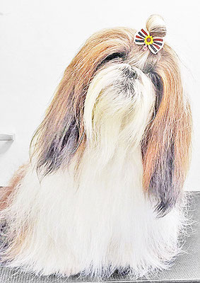 眞邉モモちゃん