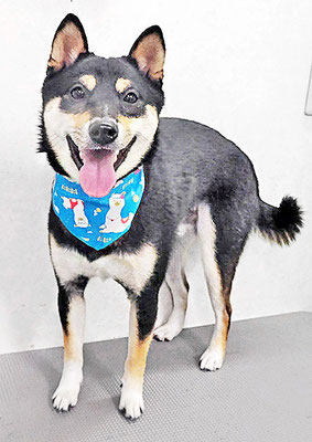 平野レンちゃん