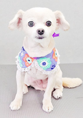 酒井ヒナちゃん