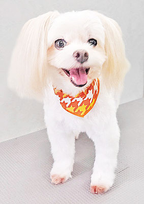 大脇ココアちゃん