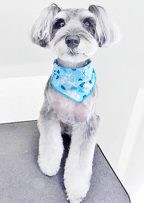 糸山そらちゃん