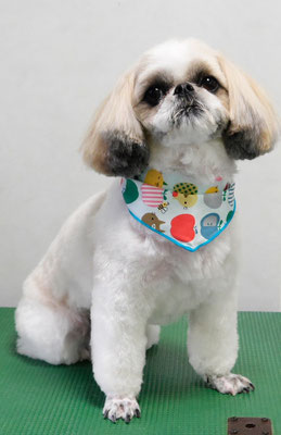 飯田シシマルちゃん