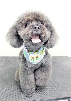 竹崎ルフィちゃん