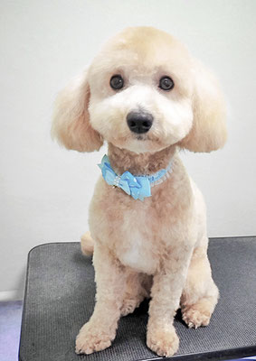 有村ルークちゃん