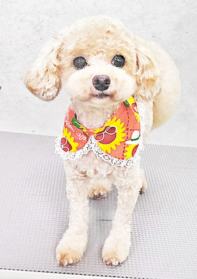 岩元チルちゃん