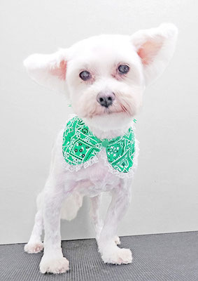 福元ミルクちゃん