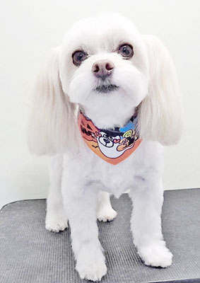 大脇ココアちゃん