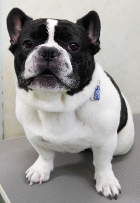 池田ゲンタちゃん