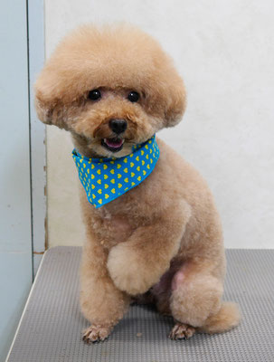 肥田クウちゃん