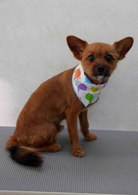 助村るぅちゃん