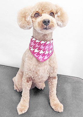 山小田チコちゃん