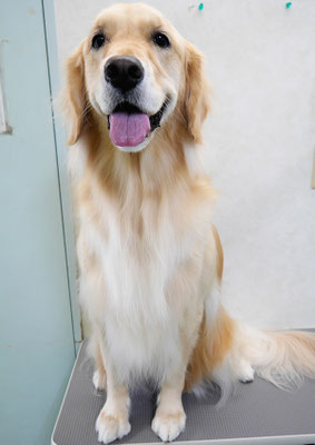 美代ジューンちゃん