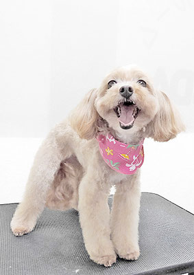 清正メイちゃん