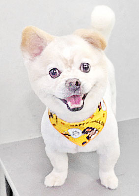 中園モカちゃん