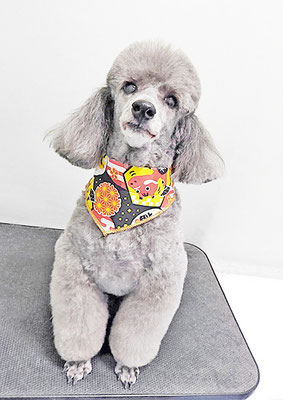 橋口最中ちゃん