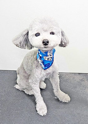 猿川ライフちゃん