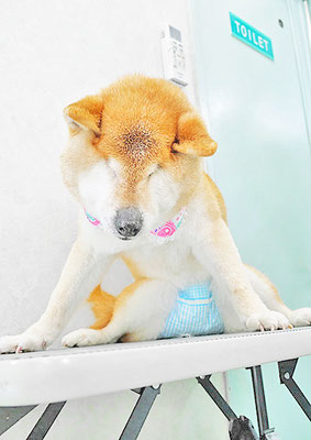 瀧川カルちゃん