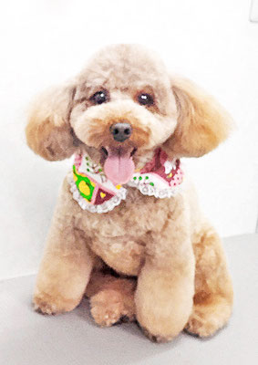 榎元チョコちゃん