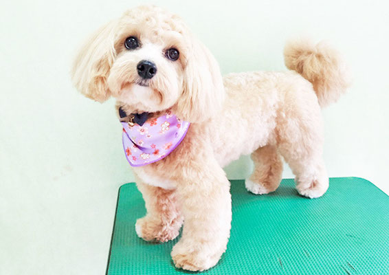 平松レオンちゃん