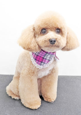 田淵マロンちゃん