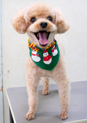 中村シェリーちゃん