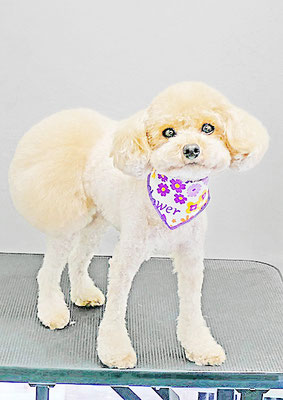 岩元チルちゃん