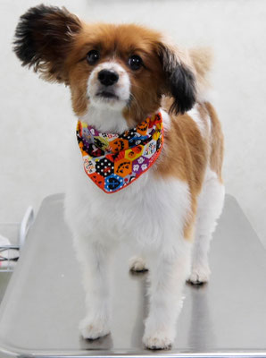 玉利ユズちゃん