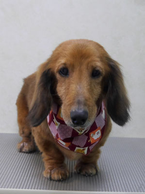 下唐湊モモちゃん