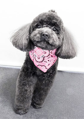 石田おはぎちゃん