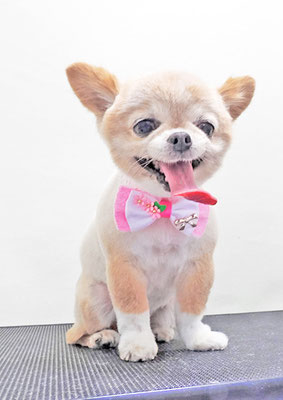 川田オカンちゃん