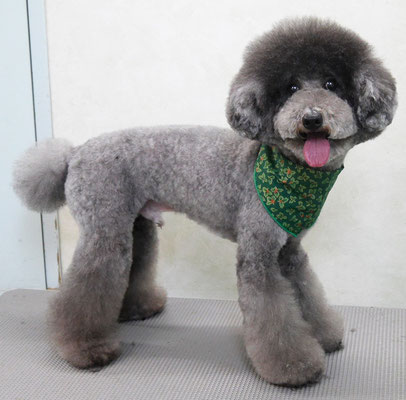 板敷コナンちゃん