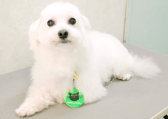 山口フウタちゃん