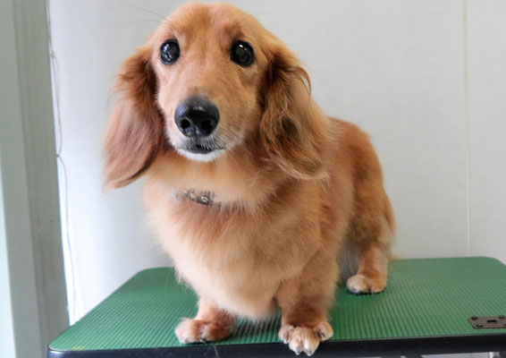 崎戸ジュリアちゃん