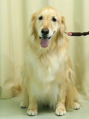 美代ジューンちゃん