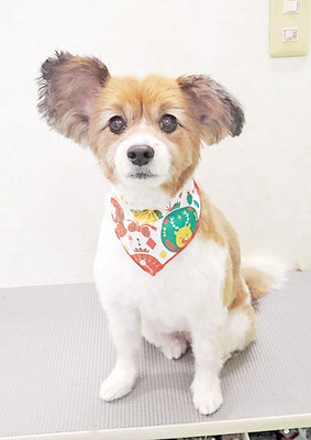 玉利ゆずちゃん