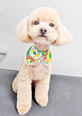 谷口マロンちゃん