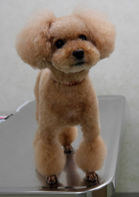 肥田クゥちゃん