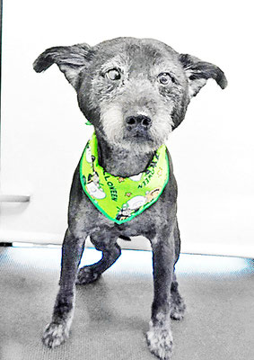 中田タロウちゃん