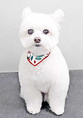 中村ココちゃん