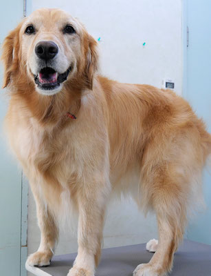 菊川チェリーちゃん