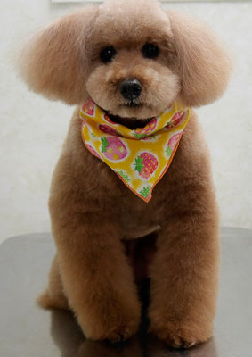 上小鶴チェリーちゃん