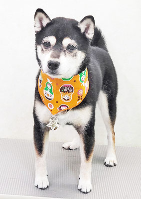 岩﨑レイちゃん