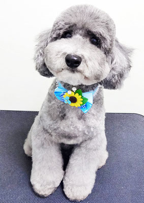 橋口最中ちゃん