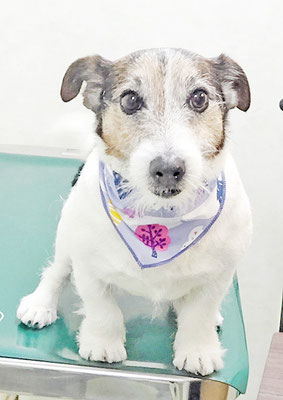 外園マロちゃん