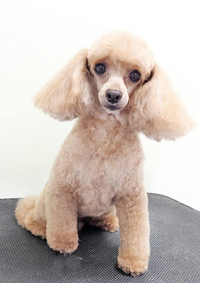 森崎ネネちゃん