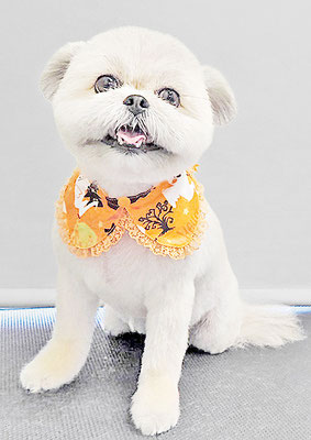 太崎ちゅらちゃん