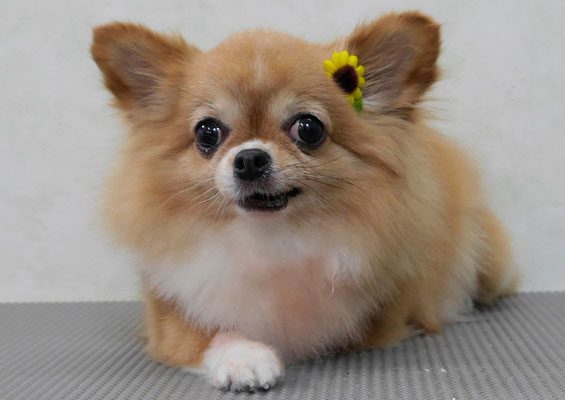 川田オカンちゃん