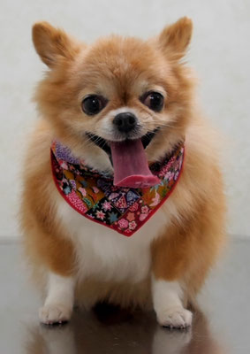 川田オカンちゃん